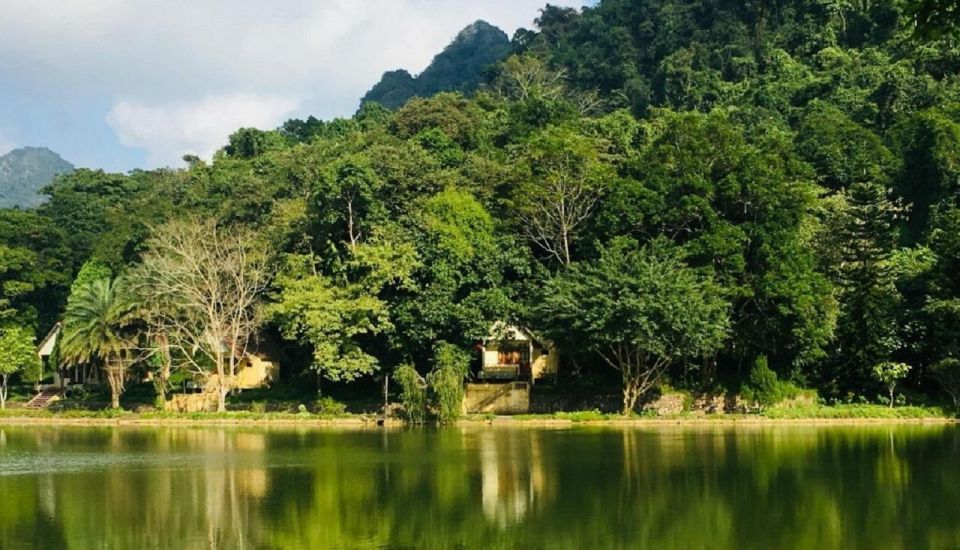 Vườn quốc gia Cúc Phương – một ví dụ điển hình của khu rừng nhiệt đới tại Đông Nam Á (Nguồn: Impress Travel)